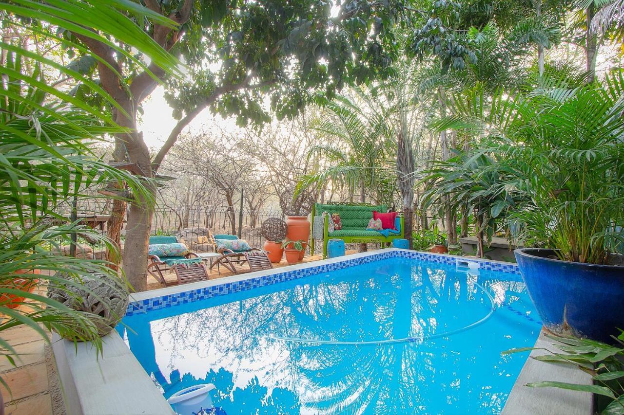 Wielewaal Bush Lodge Marloth Park Dış mekan fotoğraf