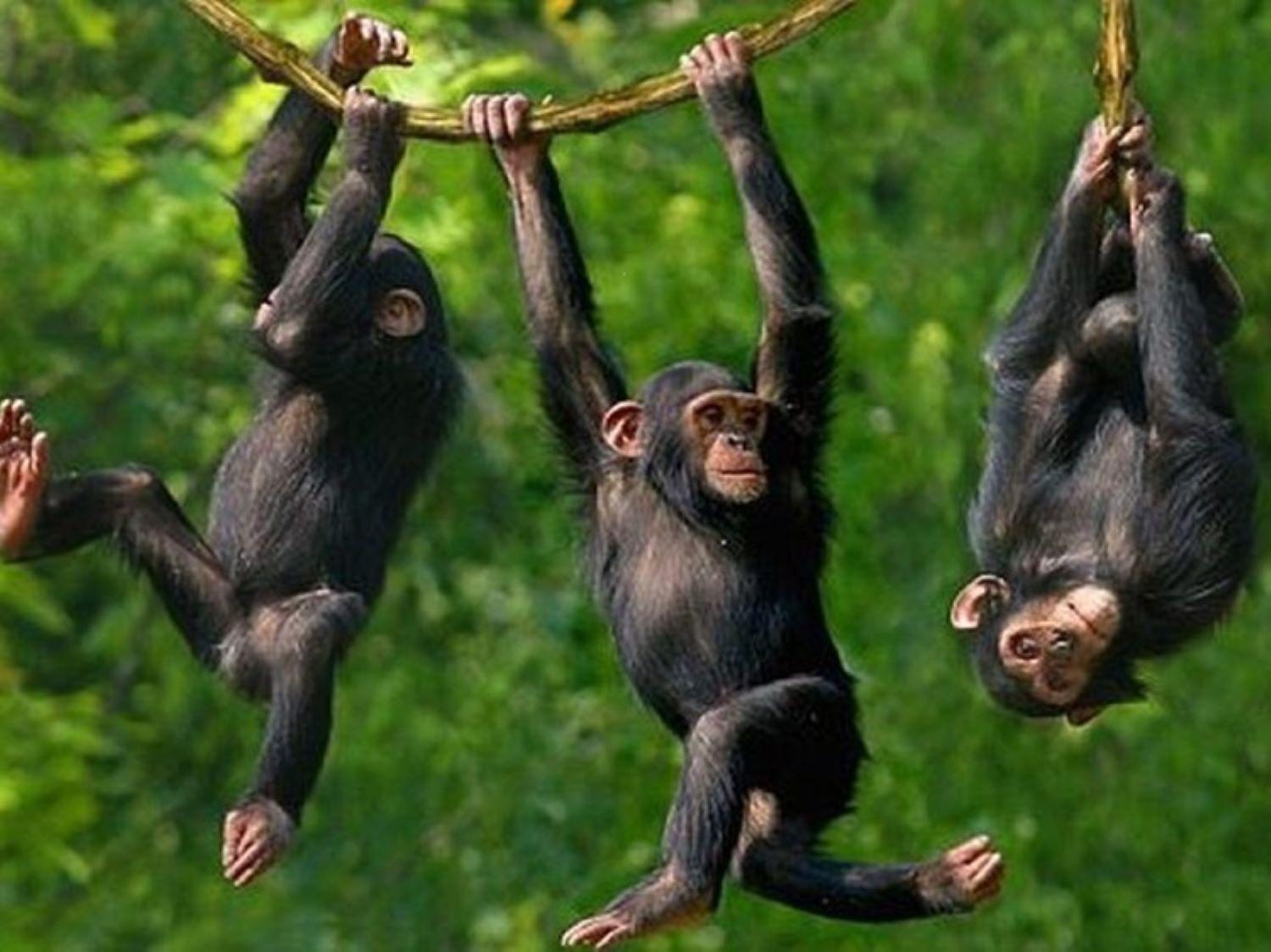 Wielewaal Bush Lodge Marloth Park Dış mekan fotoğraf