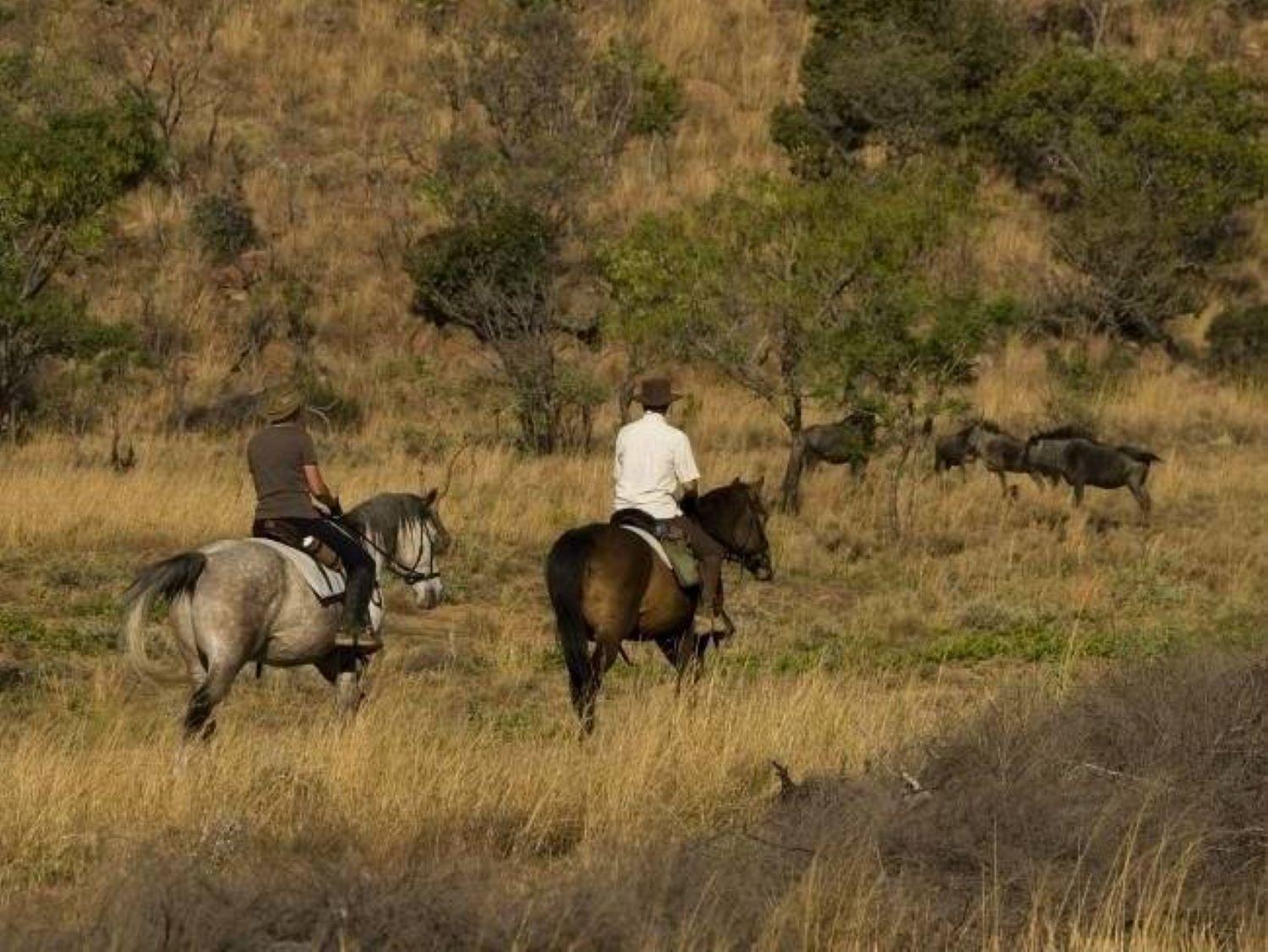 Wielewaal Bush Lodge Marloth Park Dış mekan fotoğraf